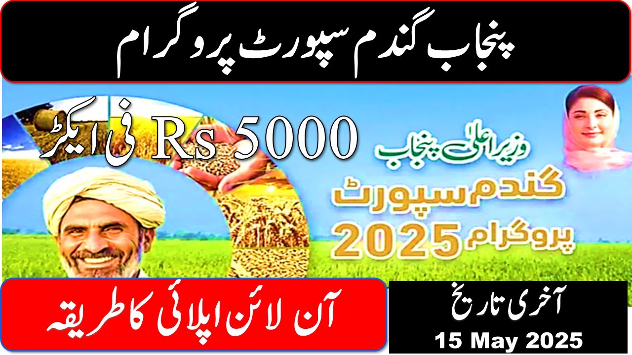CM Punjab Wheat Aid 2025: Relief for Small Farmers