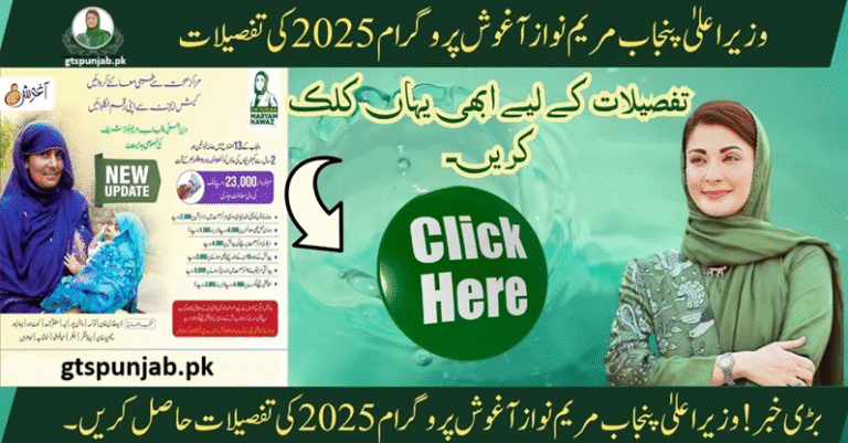 CM Punjab Aghosh Scheme 2025 Comprehensive Guide On Assistance distribution For Mothers