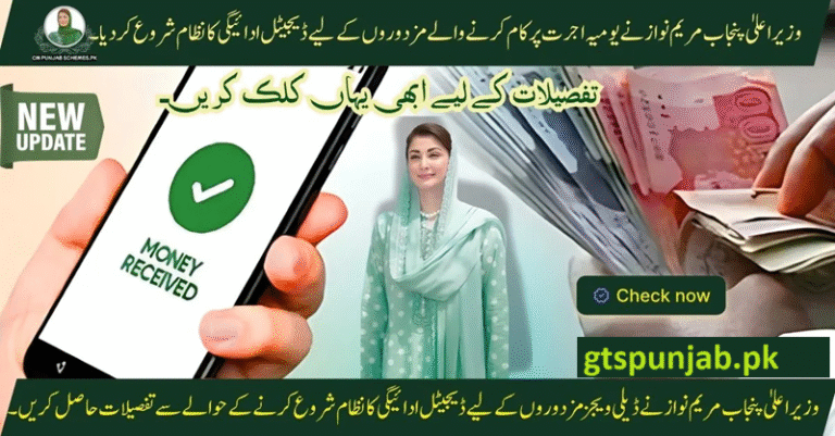 CM Punjab Maryam Nawaz Launched Digital Payment System for Daily Wages Laborers